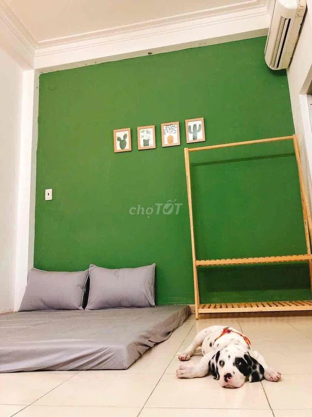 canhotot rental apartment image default