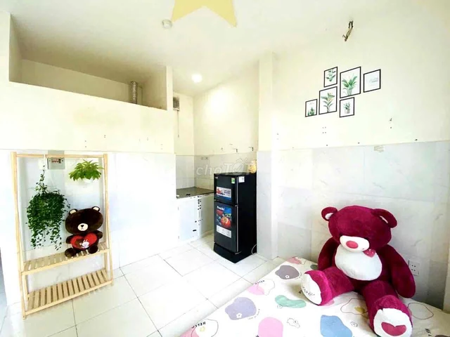 canhotot rental apartment image default